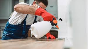 Best Real Estate Pest Inspections  in Thornwood, NY